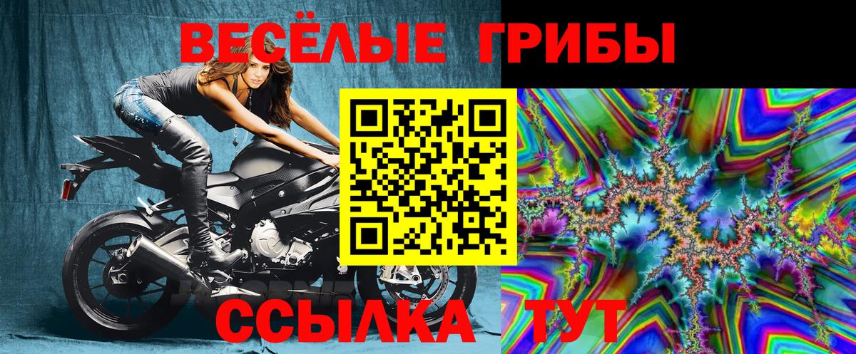 Галлюциногенные грибы Magic Shrooms Каменск-Шахтинский