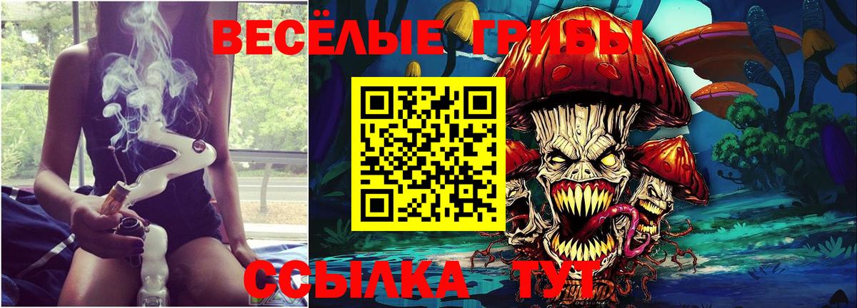 Каменск-Шахтинский  Галлюциногенные грибы Psilocybe  цены наркотик  Вход с VPN  Псилоцибиновые грибы GOLDEN TEACHER 